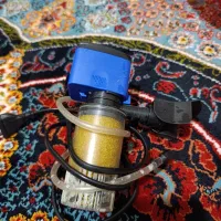 آکواریوم|ماهی|ری, شهادت|دیوار