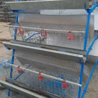 30 هزار قفس مرغ تخمگذار در حد نو زیر قیمت