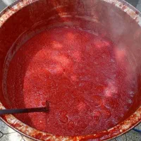 سبزی سرخ شده وخردشده رب خانگی آبلیموخالص|خوردنی و آشامیدنی|تهران, بروجردی|دیوار