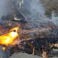 بره تباهگی|حیوانات مزرعه|سراوان, |دیوار