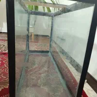 آکواریوم|ماهی|کرمان, |دیوار