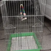 قفس عروس هلندی