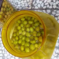 زیتون سنتی امسال درشت|خوردنی و آشامیدنی|رشت, سلیمانداراب|دیوار