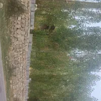 زمین-باغ-شهری-کوهمره-سرخی