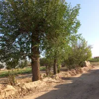 ۵۰۰ متر زمین چسبیده به بافت مسکونی زاک ماریان|فروش زمین و ملک کلنگی|مشهد, توس (بلوار توس)|دیوار