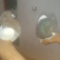 کبوتر|پرنده|زاهدان, |دیوار