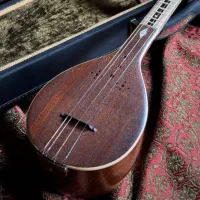 آموزش تخصصی تار ' سه تار ' تنبور درآموزشگاه موسیقی