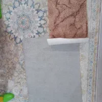 دوتا پادری پالاز موکت