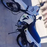 تریل دینو