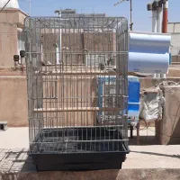 قفس ۱۰۳۳ به همراه لانه و اسباب بازی