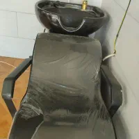 سرشور صحیح و سالم