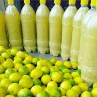 ابیلمو ابغوره سرکه