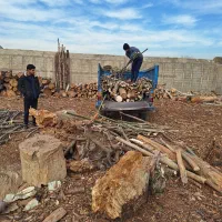 چوبری وخرید انواع چوب