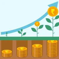 جذب سرمایه گذار ماهیانه حداقل ۵ درصد تضمینی