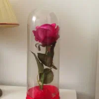 دوتا گل مصنوعی|گل مصنوعی|گرگان, |دیوار