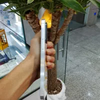 گوشی سامسونگ A56|موبایل|کرج, اصفهانیها|دیوار