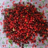 ذغال اخته