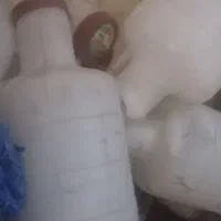 گالون خیارشور دوربر ۵۰ تایی هستم