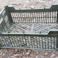 سبد میوه