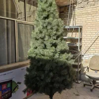 درخت کریسمس 3 متری