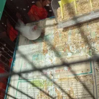 فنج ماده|پرنده|پاکدشت, پاکدشت (مامازند)|دیوار