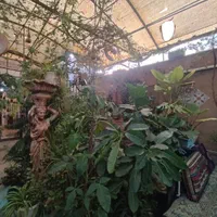 اجاره کافه رستوران 250 متری با تجهیزات