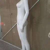 مانکن زنانه خارجی|فروشگاه و مغازه|بیرجند, |دیوار