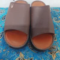 دمپای عرب قویی