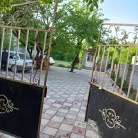 اجاره ویلا باغ با ویو گل و چمن