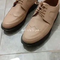 کفش چرمی نو|کیف، کفش، کمربند|قم, حکمت شمالی|دیوار