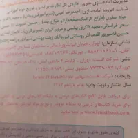 کتاب کلاس چهارم ۴۰۴-۴۰۳نومعاوضه باکتاب کلاس اول|کتاب و مجله آموزشی|ملارد, |دیوار