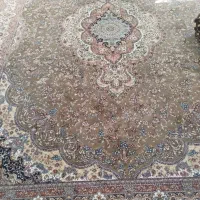 فرش ماشینی|فرش|کرمانشاه, |دیوار