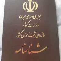 شناسنامه گم شده بنام امیر حسین فرخی