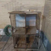 فروش قفس کبوتر