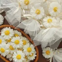 گیفت عروسی|صنایع دستی و سایر لوازم تزئینی|کوهدشت, |دیوار