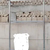 رگال