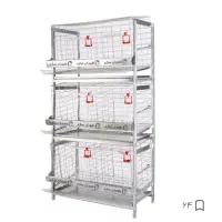 قفس مرغ و خروس تخم گذار