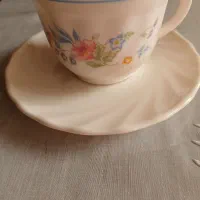 ظروف پذیرایی|ظروف سرو و پذیرایی|قزوین, |دیوار