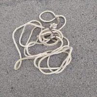 طناب بنایی و  قلم دو عدد