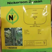 پخش بذر خیار شهاب و سناتور و کیهان با اصالت