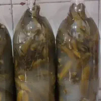 خیارشور بطری تازه وترد