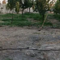 زمین ۲۷۰ متری منزل آباد/دور دیوار/بلوارمهدیه|فروش زمین و ملک کلنگی|مشهد, منزل آباد|دیوار