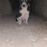 تو نر 3ماه همچی تموم