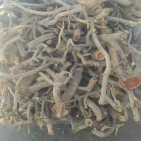 خرید چوب|خدمات باغبانی و درختکاری|زرند, |دیوار