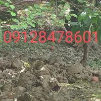 خط 912|سیم‌کارت|قائم‌شهر, |دیوار