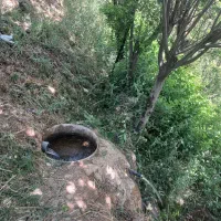 باغ ۱۵۵۰متری