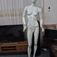 مانکن