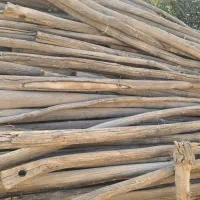 چوب داربست انگور/هیزم برای اتش|خدمات باغبانی و درختکاری|اصفهان, قائمیه|دیوار