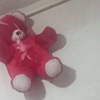 نیازمند ضامن