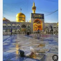 رزرو هتل در مشهد فقط۶۰۰ تومن همراه باغذا